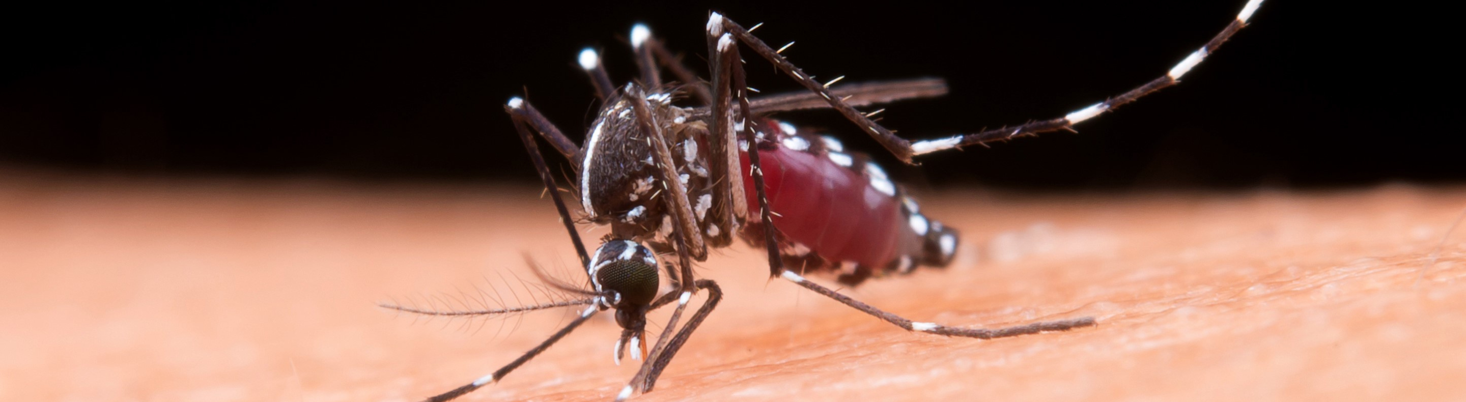 Distribuidoras da Neoenergia contribuem no combate à dengue em áreas de concessão