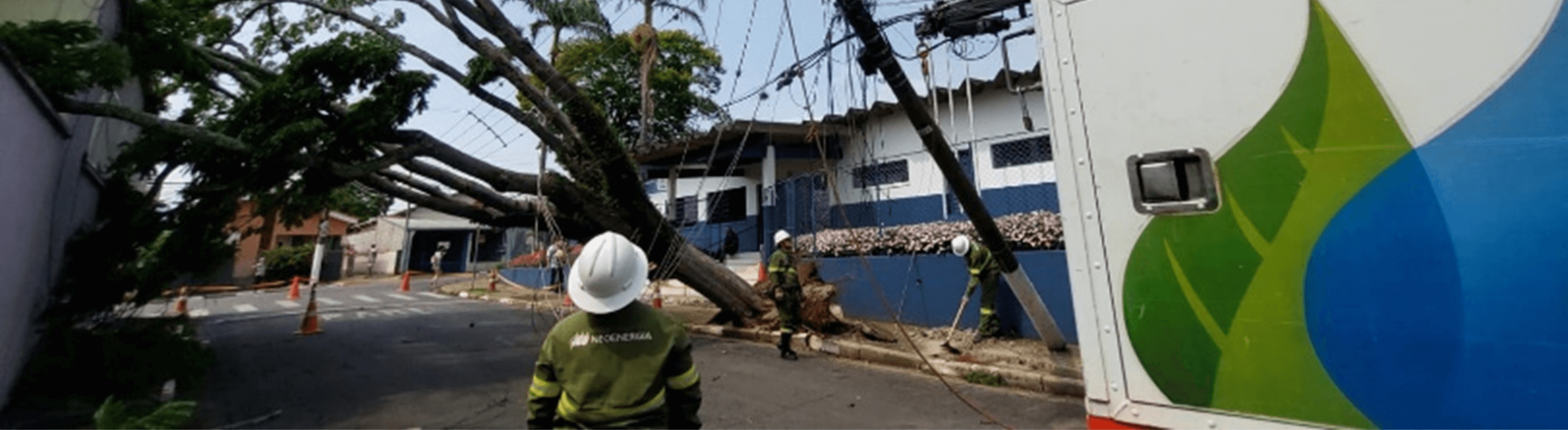 Eletricista da Elektro realizando uma operação em uma árvore caída por uma tempestade
