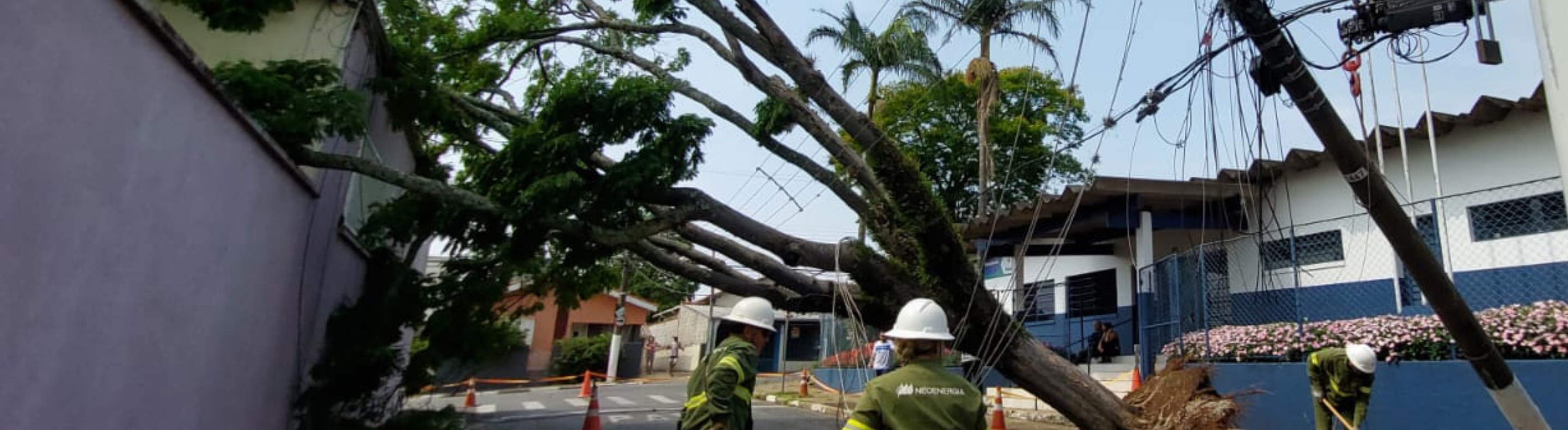 Eletricistas da Neoenergia Elektro em campo após temporal derrubar árvores e postes