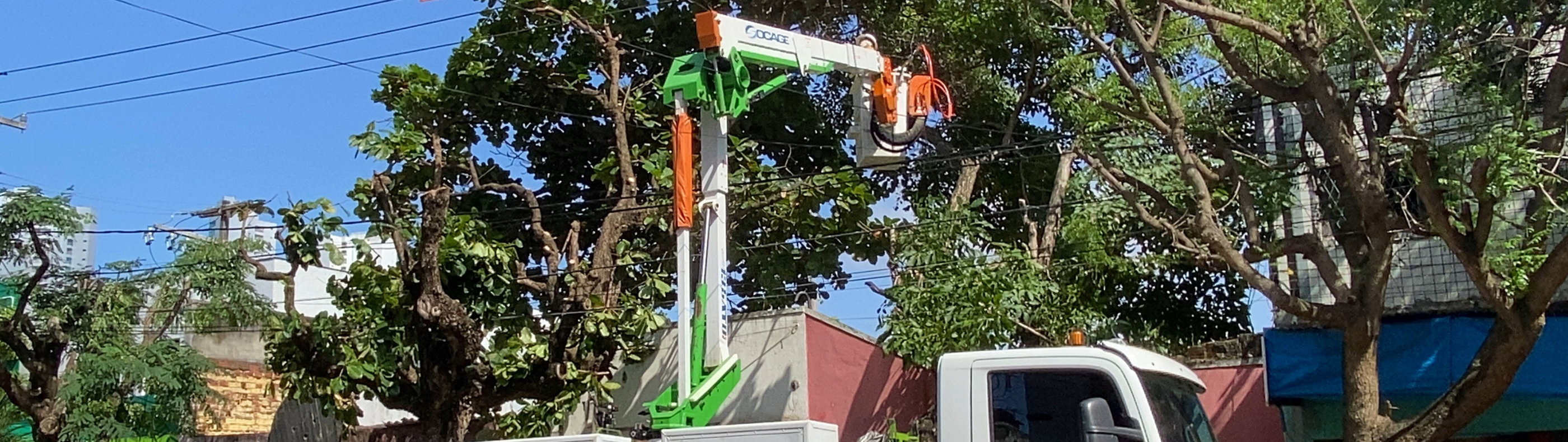 Neoenergia Pernambuco promove mutirão de ações preventivas em Santa Cruz do Capibaribe e região