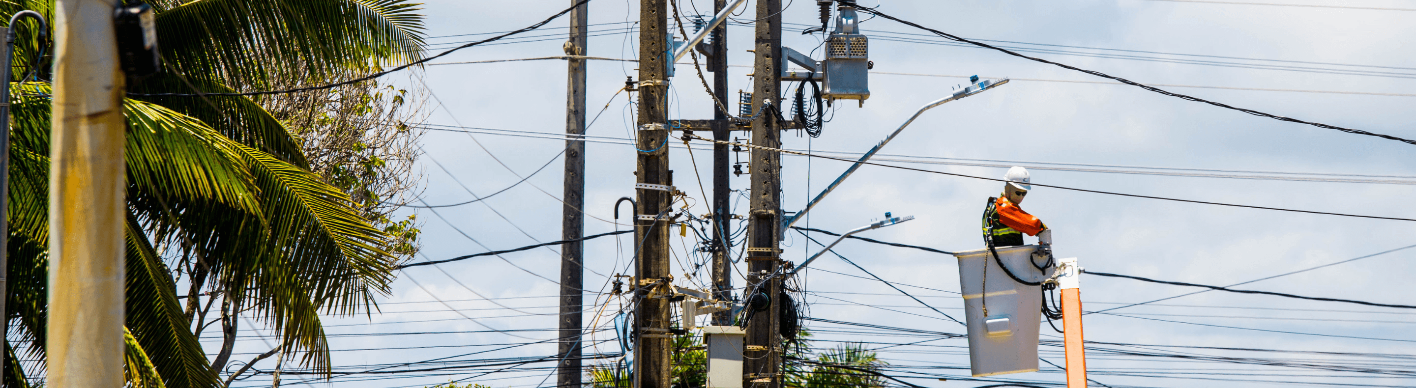 Eletricista da Neoenergia realizando ordenamento na rede