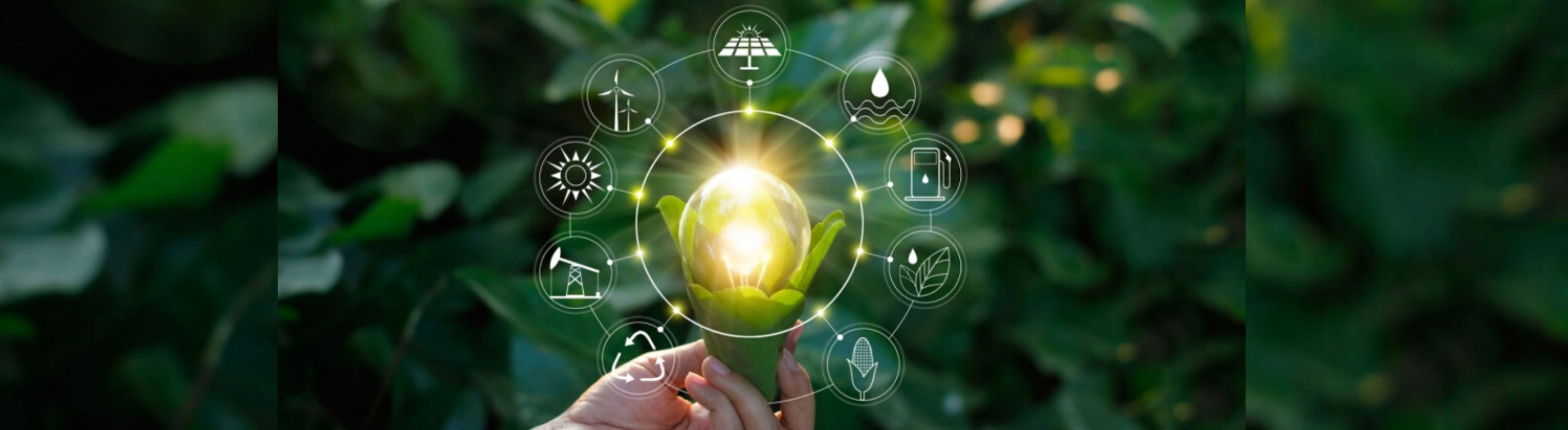 Neoenergia conquista segunda posição, sendo a primeira do setor elétrico, no ranking geral do Índice de Sustentabilidade Empresarial da B3 2024/2025