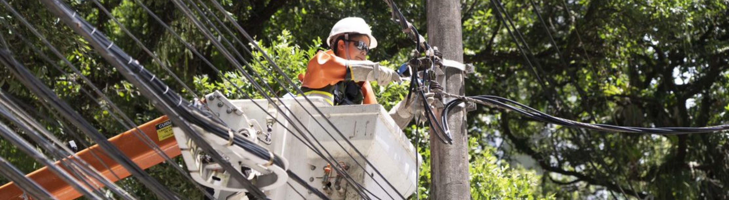 Eletricista da Neoenergia Coelba realizando podas preventivas