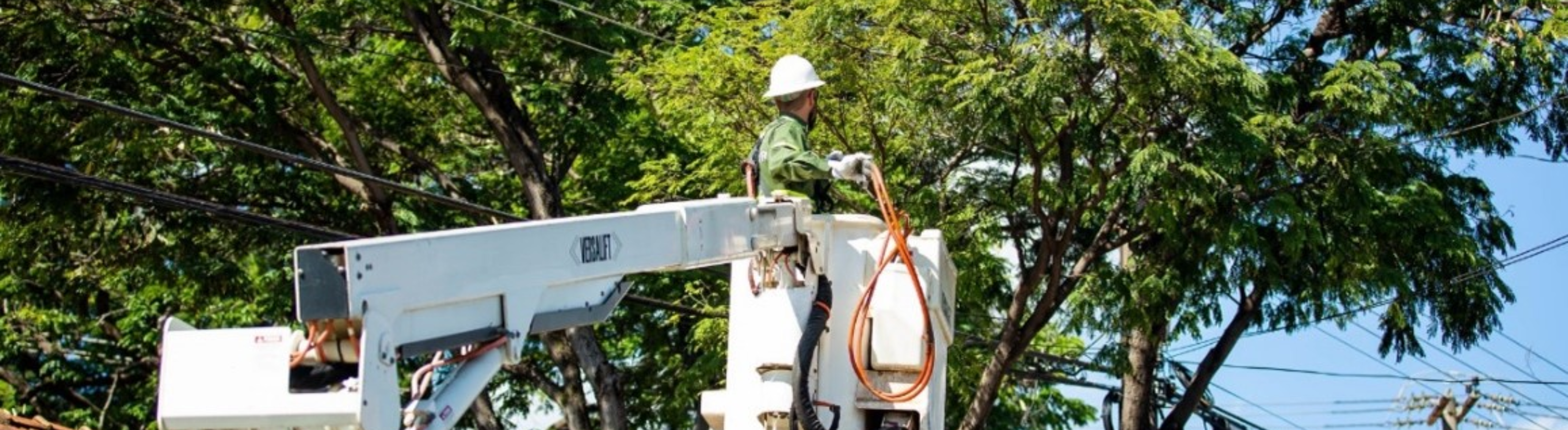 Eletricista da Neoenergia Coelba realizando podas preventivas