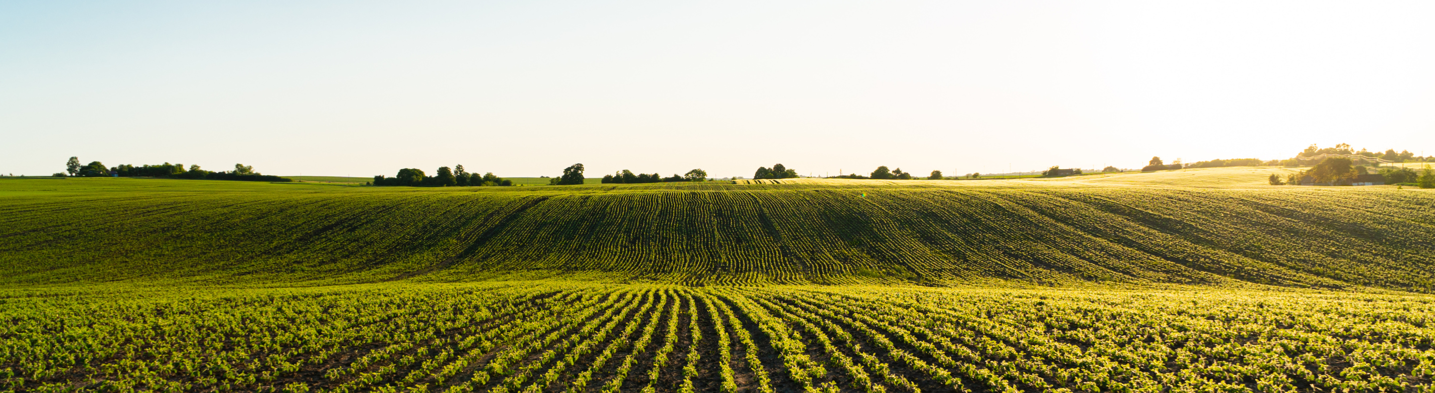 Comunidade e clima: Neoenergia Coelba apoia a Carta de Direitos Climáticos do Território do Nordeste de Amaralina