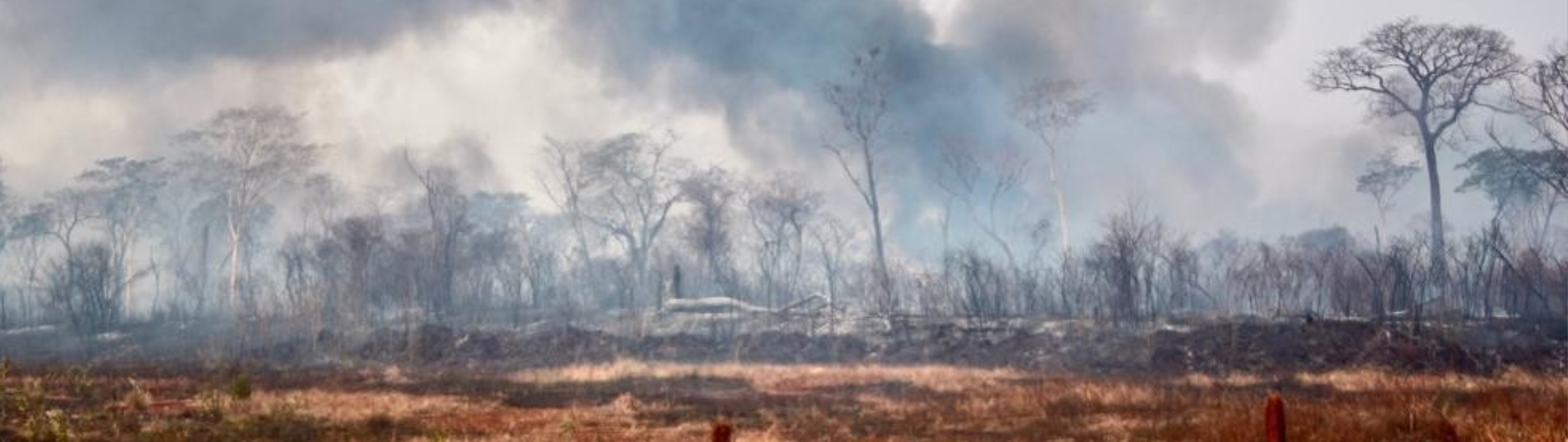 Período de seca em Juazeiro acende alerta para queimadas; Neoenergia Coelba reforça ações de segurança em toda a Bahia