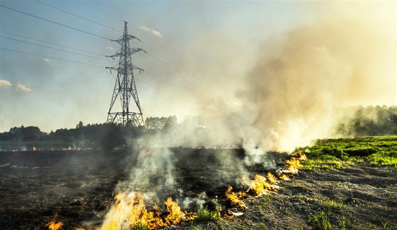 Dicas de segurança para queimadas próximas à rede elétrica