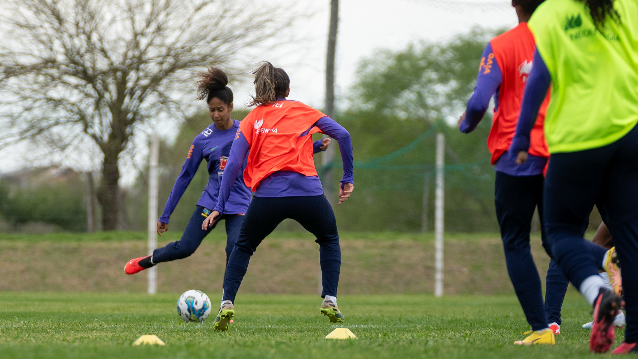 Brasileirão Feminino Neoenergia on X: 36.330 mil! Maior público da  história do futebol feminino brasileiro… Simplesmente histórico! Que show  da torcida @GuriasColoradas! 👏  / X