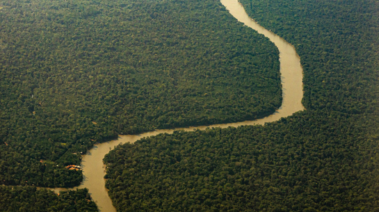 Imagem aérea do Rio Amazonas