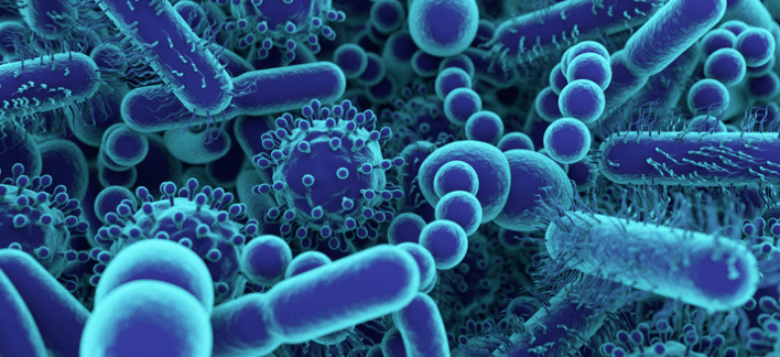 virus-bacteria