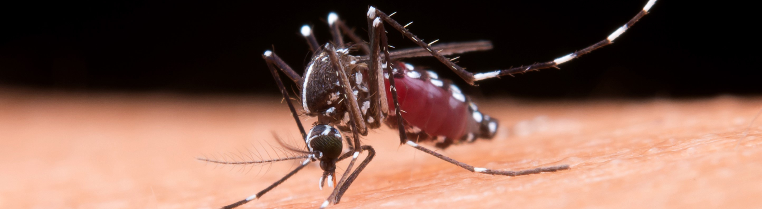 Distribuidoras da Neoenergia contribuem no combate à dengue em áreas de concessão 