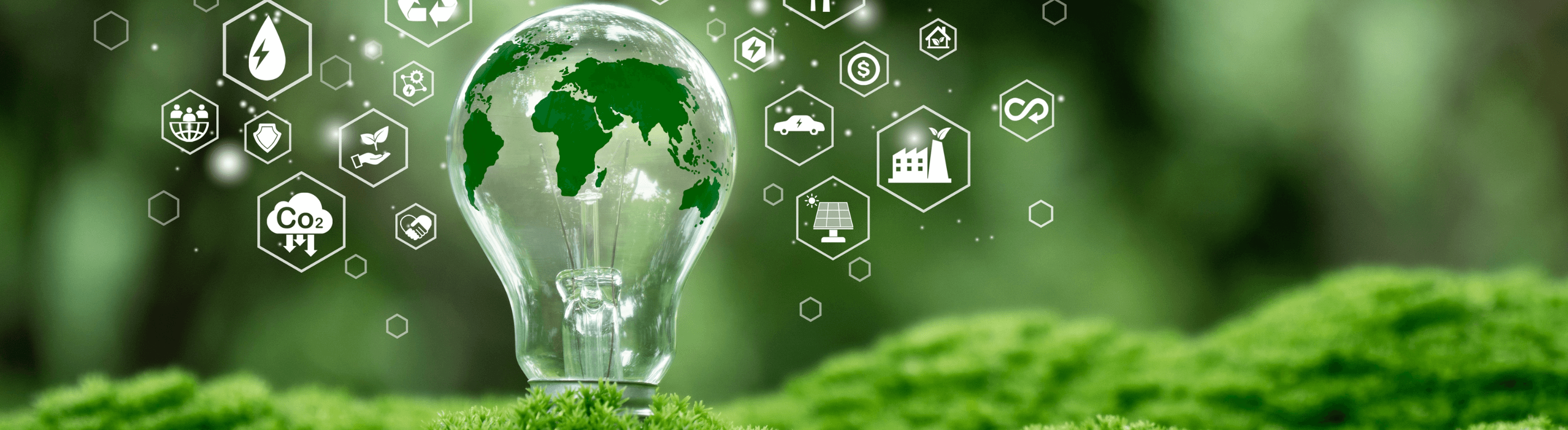 Neoenergia conquista segunda posição no ranking geral do Índice de Sustentabilidade Empresarial da B3 2024/2025