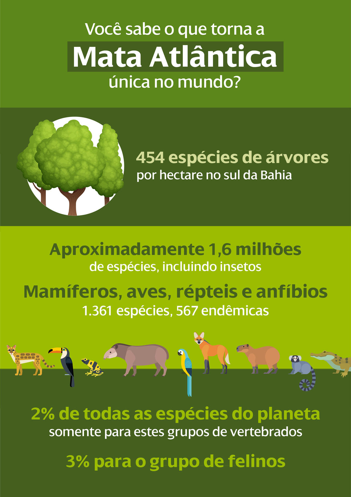 Mata Atlântica é o bioma com mais espécies de fauna e flora