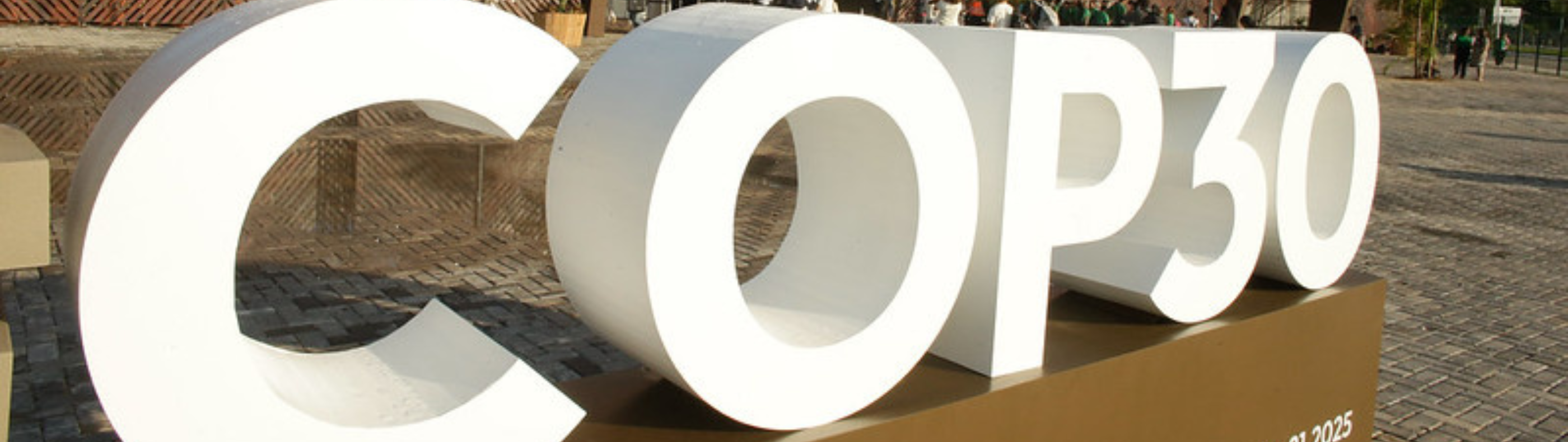 Neoenergia apoio à COP30 reforça eletrificação da economia como caminho para descarbonização e segurança energética