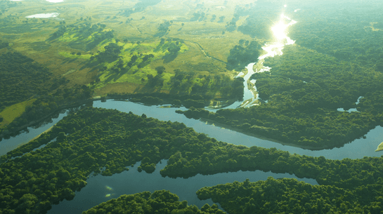Foto de cima do Pantanal