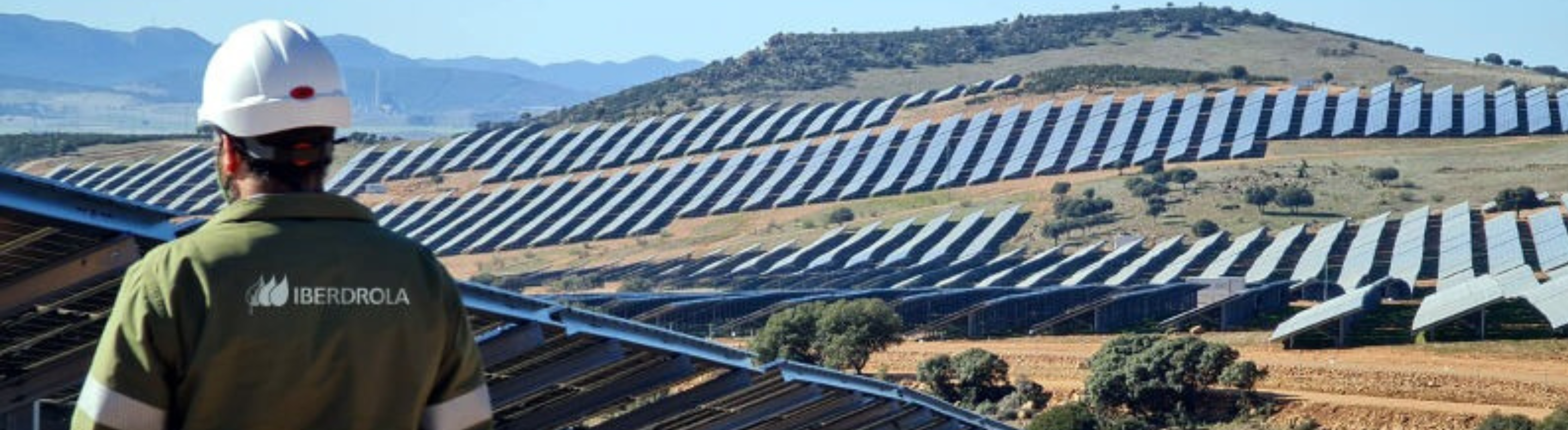 Imagem mostra placas fotovoltaicas em parque da Neoenergia