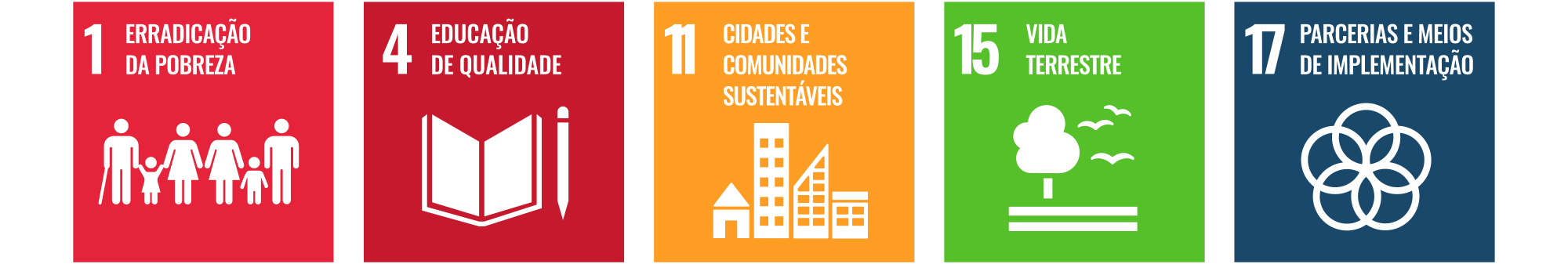 Conexão com os ODS - Instituto Neoenergia - Neoenergia