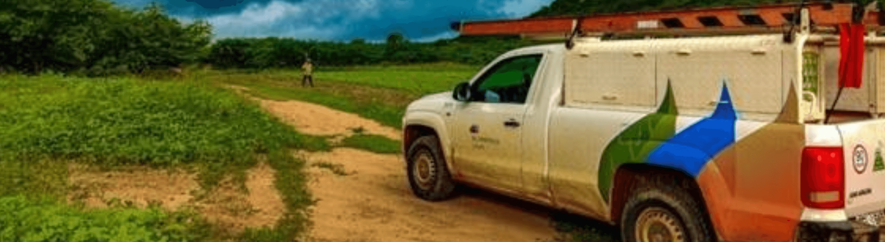Neoenergia se antecipa ao período de chuvas e investe em manutenção preventiva em Pernambuco