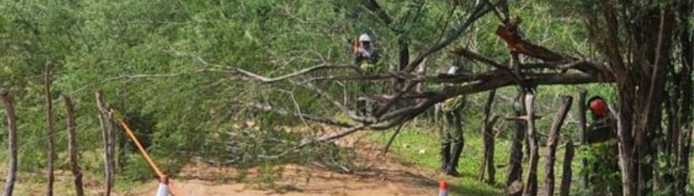 Neoenergia Pernambuco reforça número de equipes para atender cidades do interior afetadas pelas chuvas