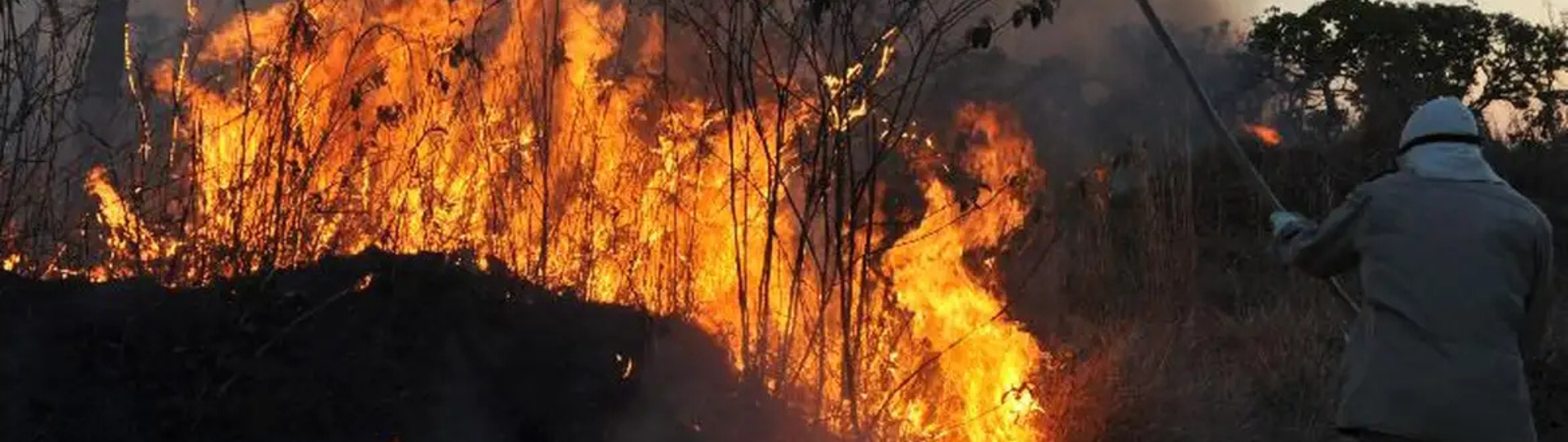 Incêndios e queimadas aumentam no Rio Grande do Norte e podem causar danos à rede elétrica