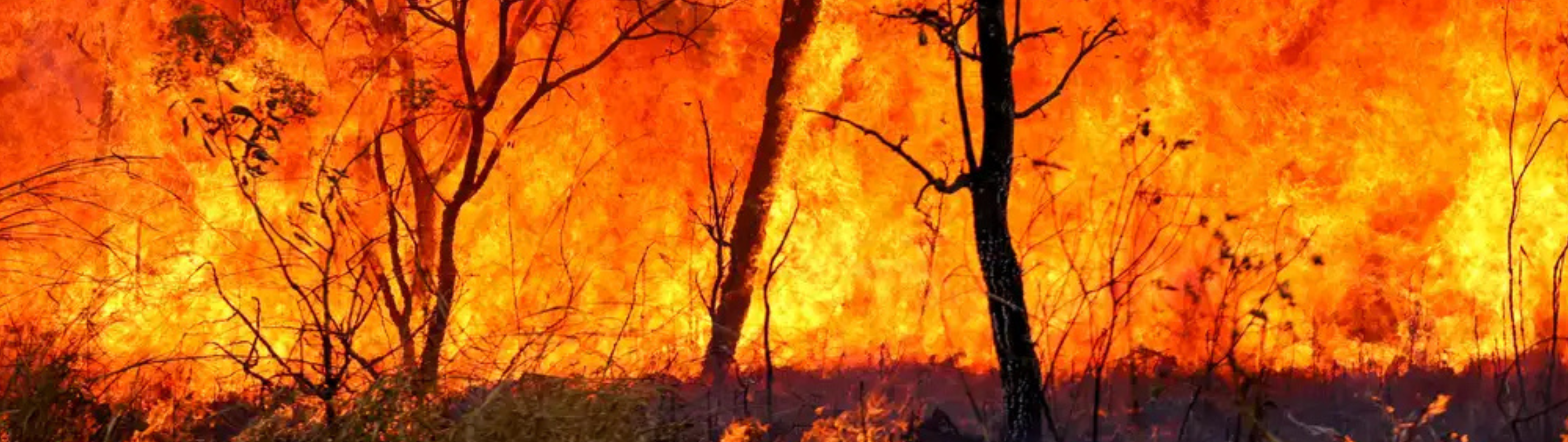 Temporada de ventos pode causar queimadas próximas à rede elétrica, alerta Neoenergia Cosern