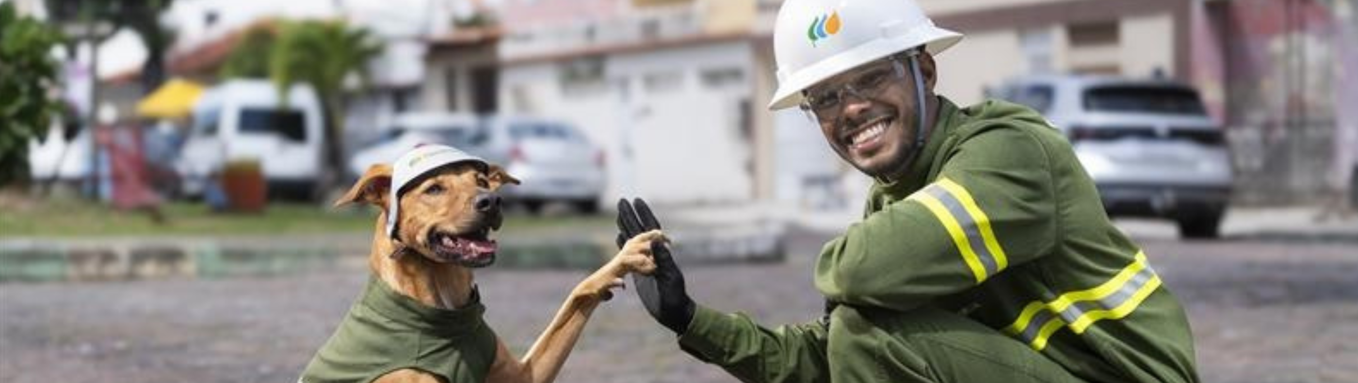 Vira-lata caramelo faz dupla com eletricista da Neoenergia para reforçar segurança com a rede elétrica 