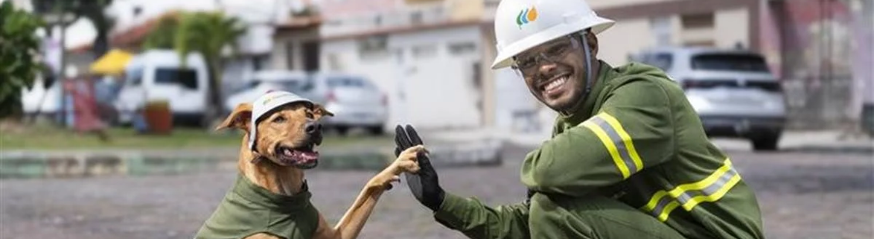 Cãozinho Max leva mensagem de segurança em ação especial da Neoenergia Elektro em escolas públicas de Francisco Morato 