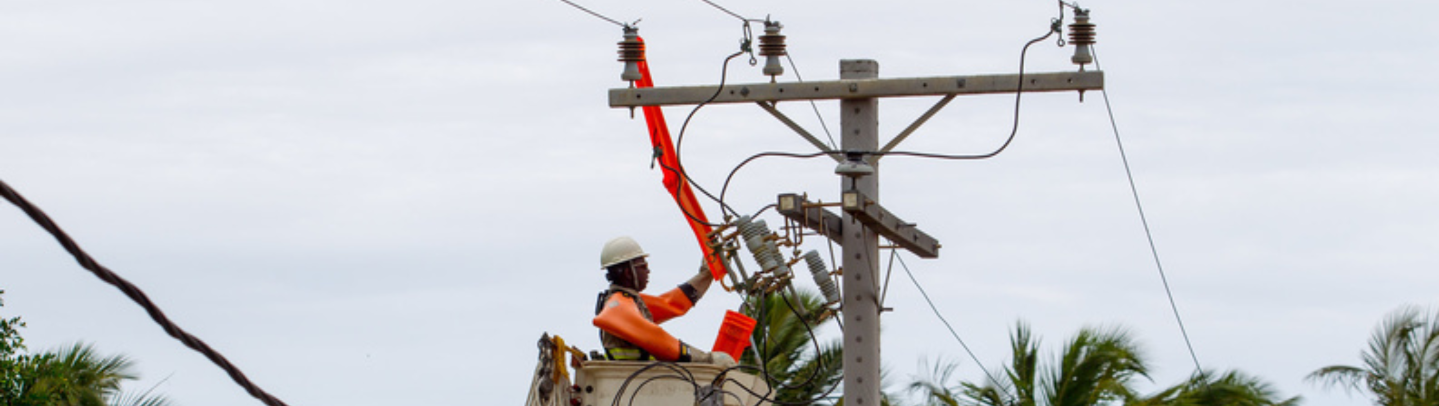 Podas e manutenções preventivas reforçam segurança da rede elétrica de cidades no Vale do Paraíba