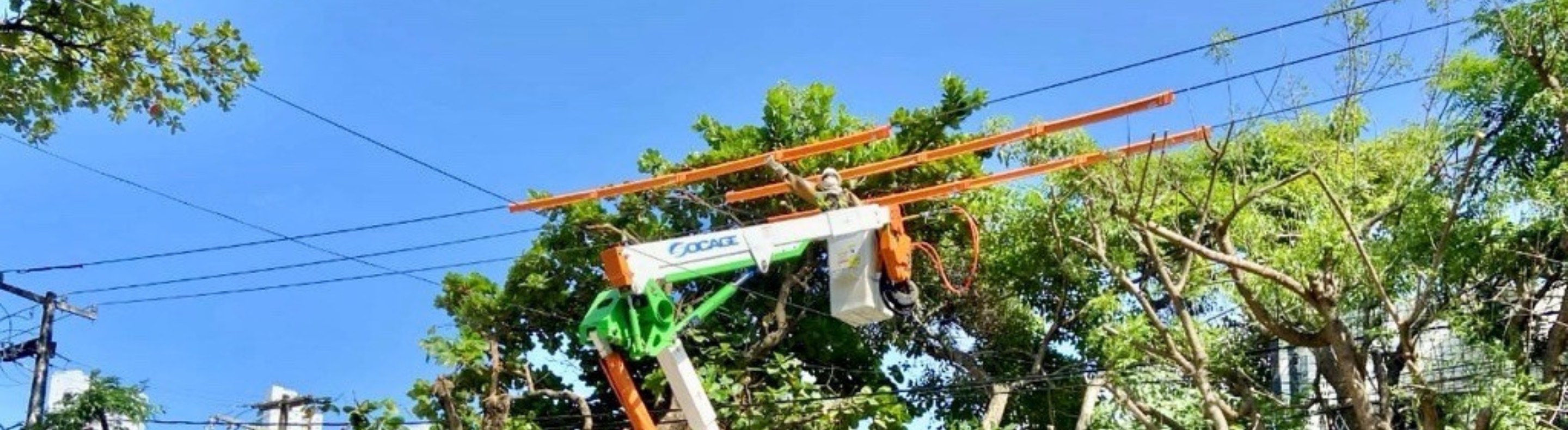 Podas e manutenções preventivas reforçam segurança da rede elétrica de Rio Claro