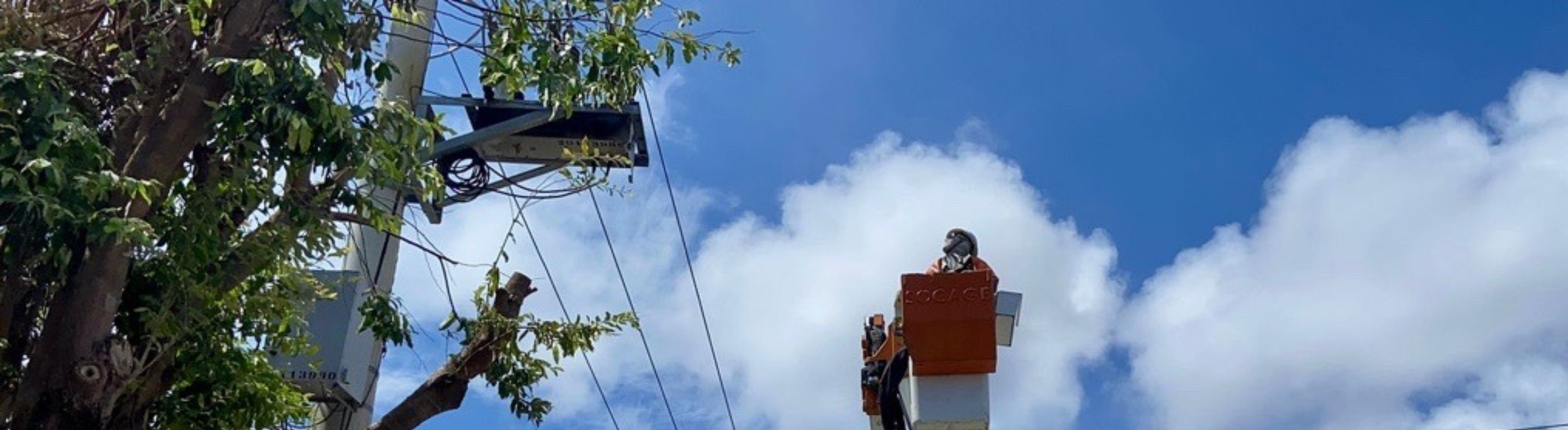 Podas e manutenções preventivas reforçam segurança da rede elétrica em cidades da Baixada Santista